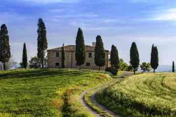 VIP Cooking lesson in Villa in the Chianti Countryside from Florence