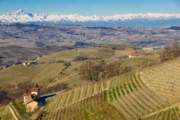Best tours and activities for Langhe