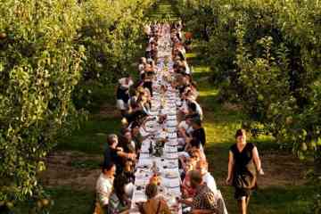 Dinner in the Chianti vineyards with departure from Florence