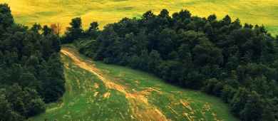 Tour of Chiantishire and Florence countryside