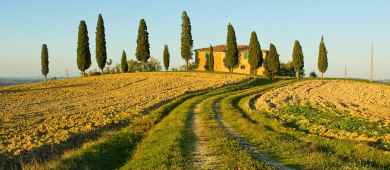 Tour of Chiantishire and Florence countryside