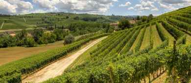 Tour in Chiantishire and Florence countryside, Tuscany