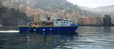 Boat tour in Portofino