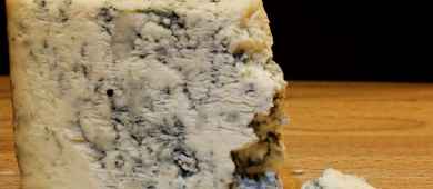 Taste gorgonzola