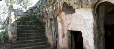 Tour of Monopoli with tastings