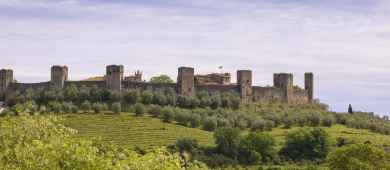 Escursione di un giorno a Firenze e nel Chianti con degustazione di vini locali