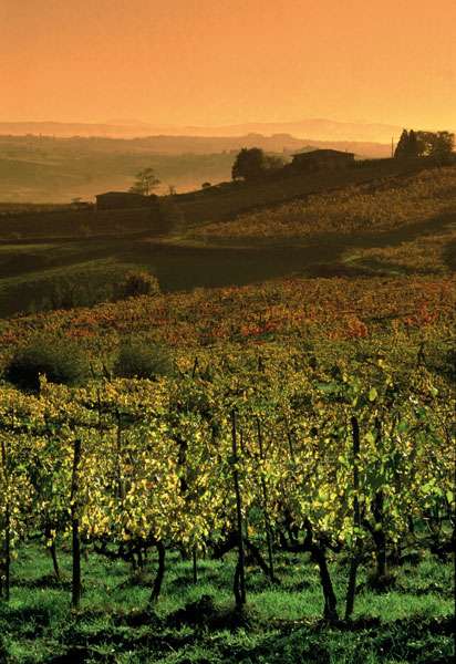 Full Day Tour Of San Gimignano Siena Monteriggioni Full Day Tour Of San Gimignano Siena Monteriggioni