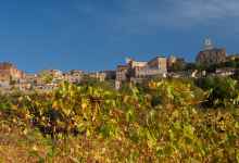 The best wines of Tuscany 
