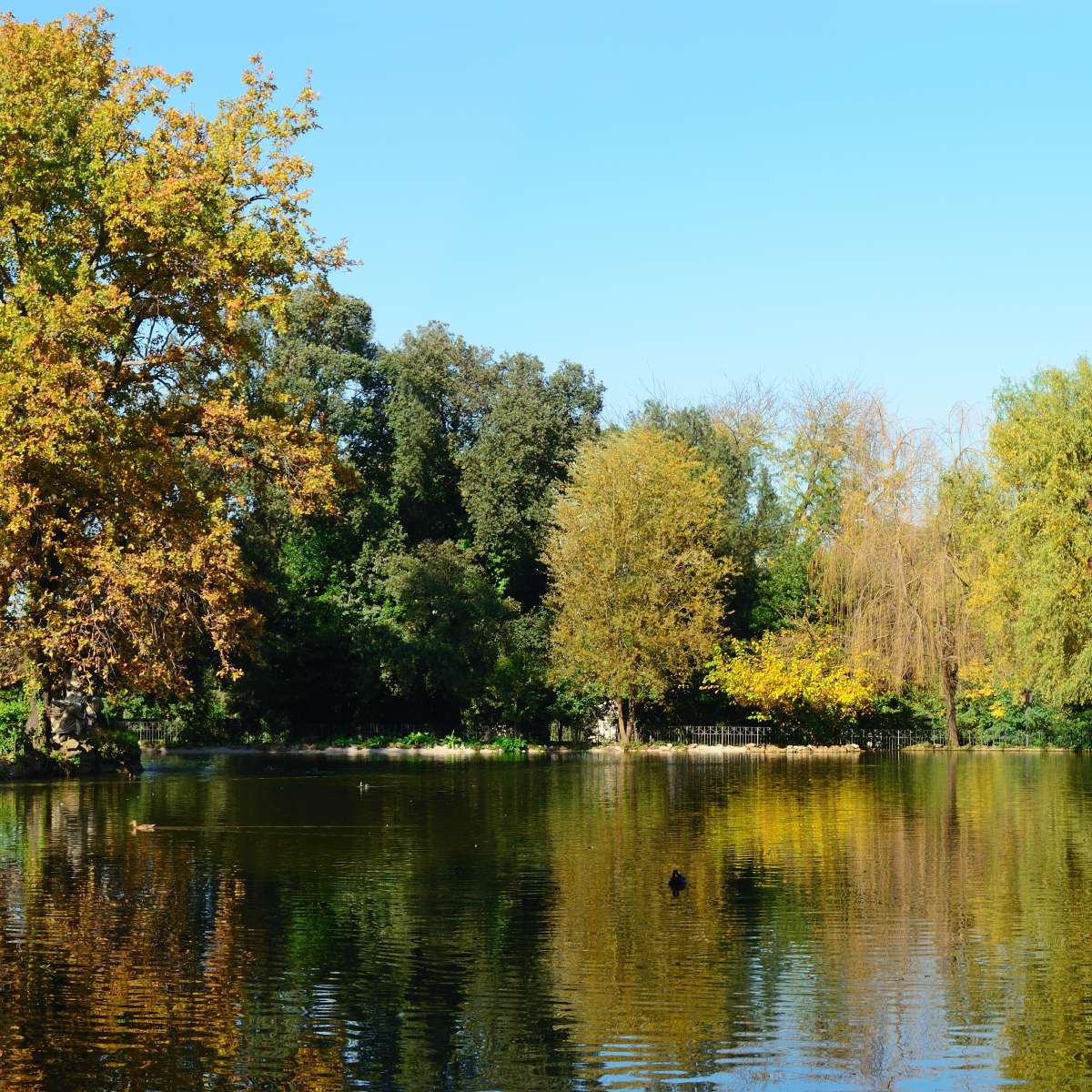 At least 5 reasons to enjoy autumn 9 At least 5 reasons to enjoy autumn 16