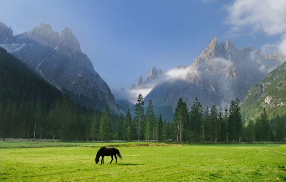 5.	Relax in the Dolomites