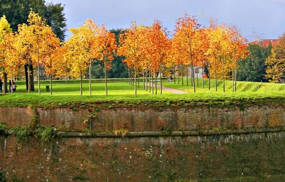 5 Reasons to Visit Tuscany in Autumn