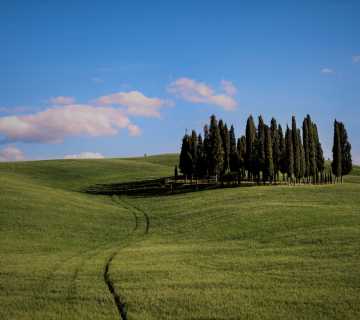 Bestseller tours in Tuscany