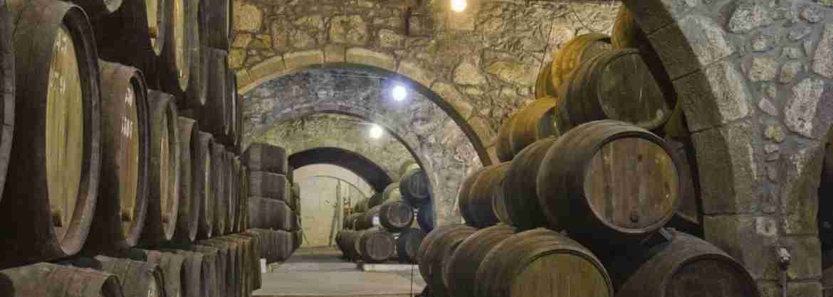 Wine and vineyards of Chianti region, 4 days Enogastronomic tour