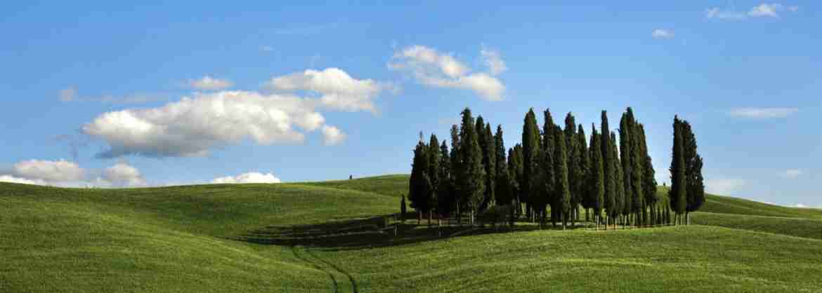 Tuscany Excursion around the landscapes of Montemaggio (Mount May)