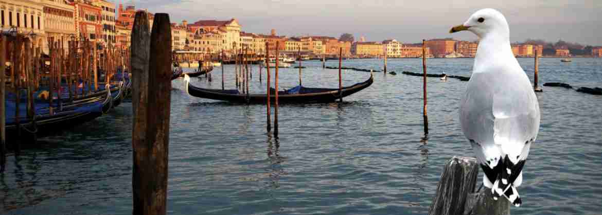 Unconventional tour in Venice: how to write a travel diary