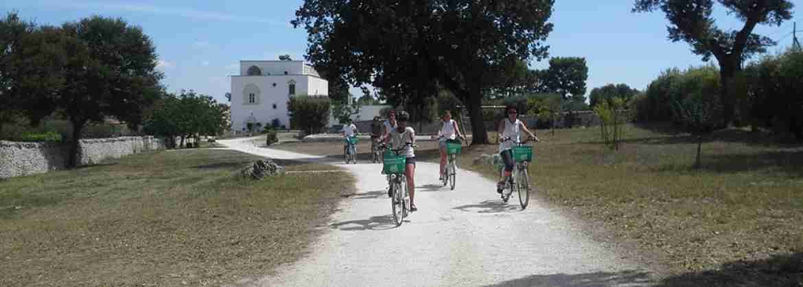 Tour privato della Valle dItria in bici: Alberobello, Cisternino e Locorotondo