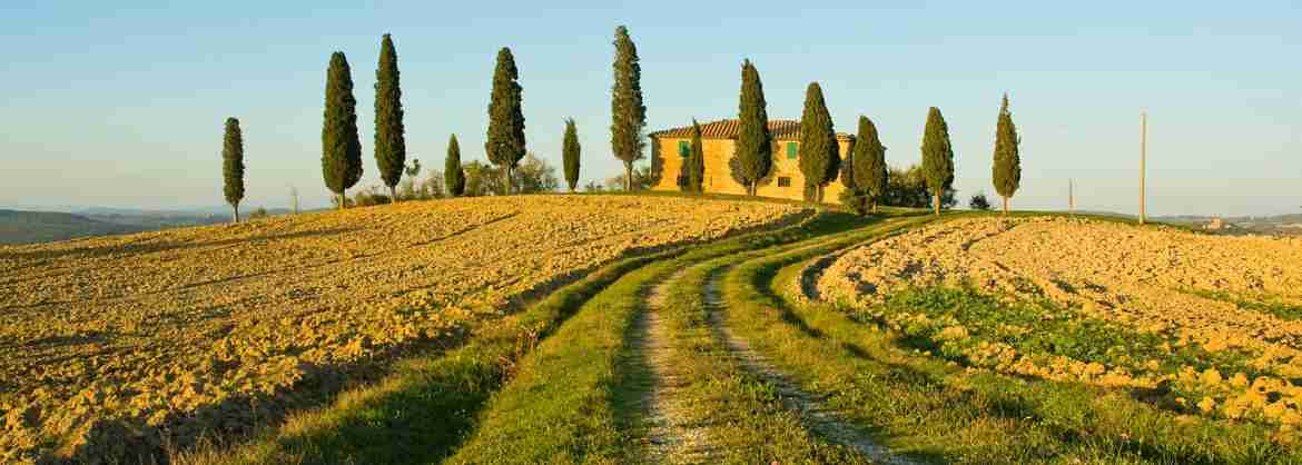 Private tour around the fantastic landscapes of Val dOrcia from Florence
