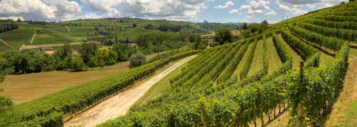 5 Days Piedmont Slow Food Tour with Self Drive experience