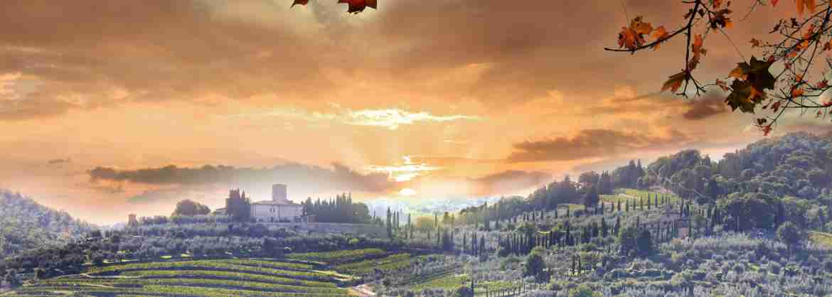 Tour de un día por la Toscana: Chianti y los castillos desde Siena o San Gimignano