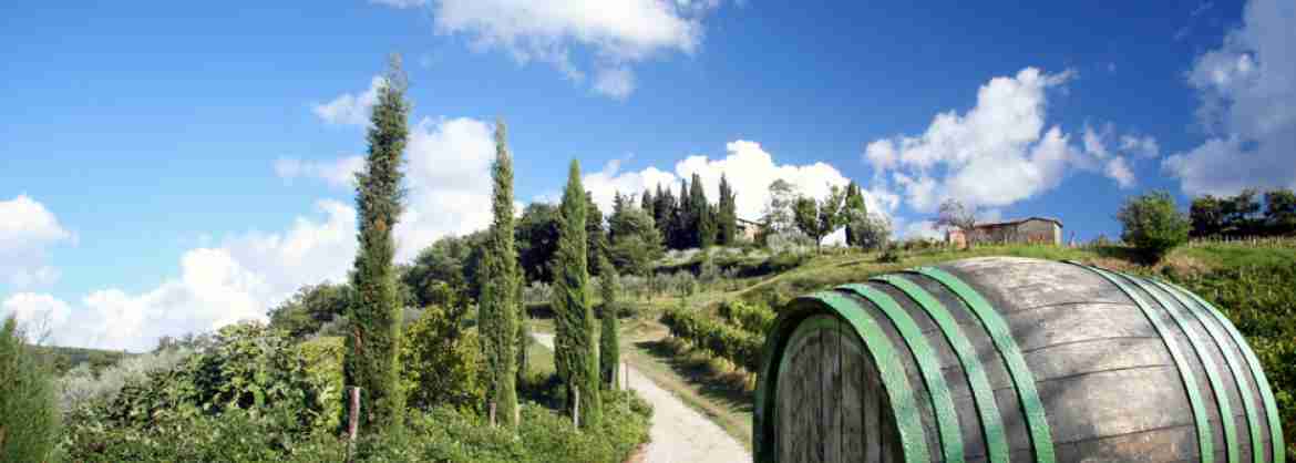 8 Days Self Drive Food and Wine Tour of Tuscany from Rome