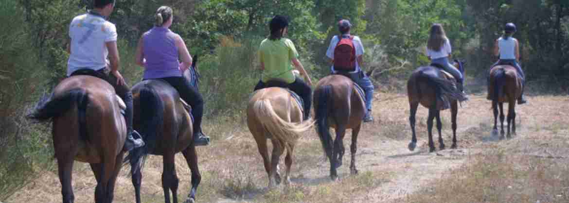 Horseback Riding, outdoors activity, around Tuscany region