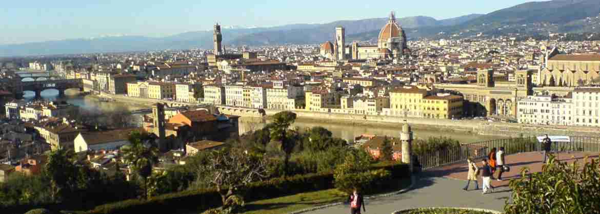 Tour panoramico con guida del centro di Firenze e della Galleria dellAccademia