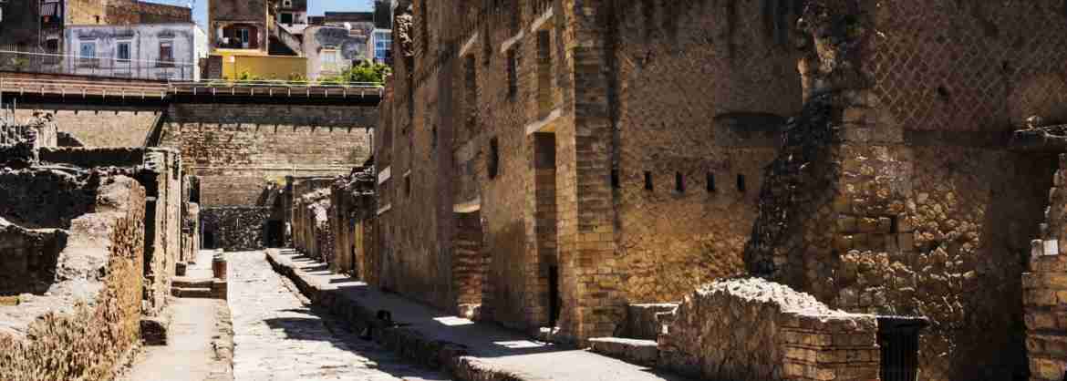 Private walking guided tour to Herculaneum archaeological area