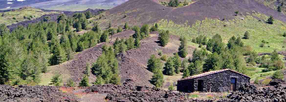Private Mount Etna Trekking Tour from Catania: pick-up and picnic included