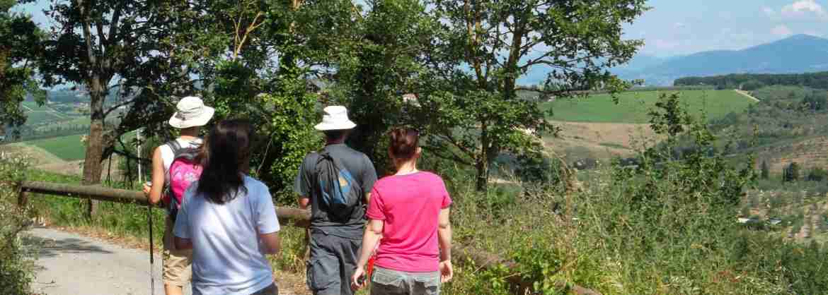VIP Small Group Hiking, Tastings and Lunch in Chianti region departing from Florence