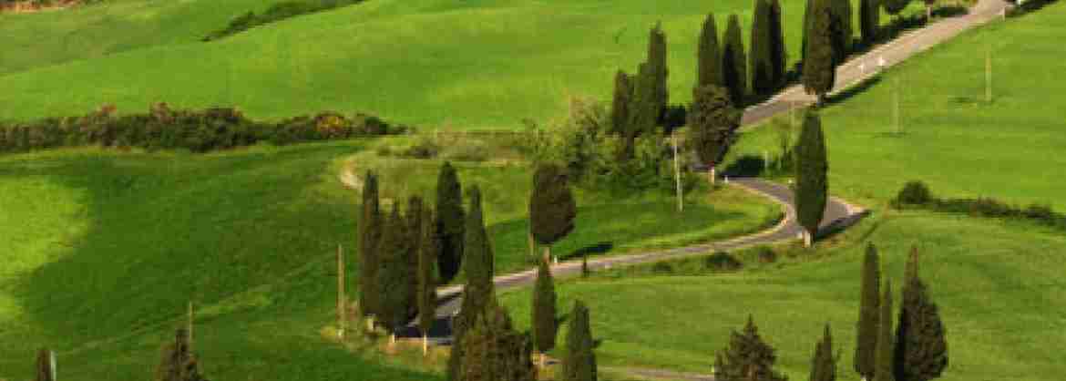 Tour del vino di 2 giorni nelle colline del Chianti in Toscana con auto propria