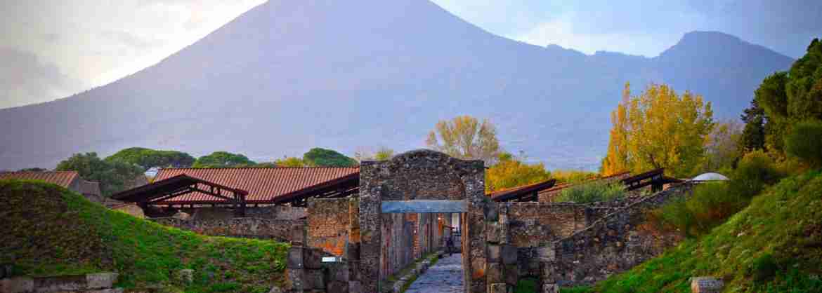 Half Day Private Tour from Naples to Pompeii
