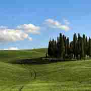 VIP Small group tour in Tuscany: Siena, San Gimignano and Chianti with dinner
