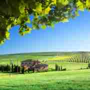 Private Tour of Tuscany in a Day: Pisa, Siena and San Gimignano