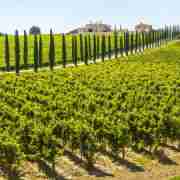 VIP Small Group eBike tour in Chianti from Florence with wine and olive oil tasting