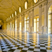 Guided Tour of Venaria Royal Palace and the Gardens