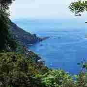 Hiking tour to San Fruttuoso Bay from Camogli in a small group